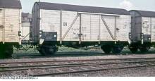 Exact-Train EX20798 - DR Nordhausen Kühlwagen Tws 17-44-09 Epoche III