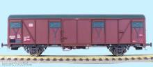 Exact-Train EX23105 - DB Gbs 252 Güterwagen mit DB- Emblem mit Farbflächen