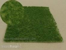 Model Scene F515 - Rasensode - dunkel