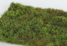 Model Scene F571 - Niedriges Strauchwerk/Gestrüpp - Frühling