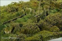 Model Scene F801 - Alter Windbruch