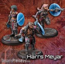 Freebooter Miniatures FMAFAR04 - Ascending Fate: Unitbox Arvingar Harrs Meyar