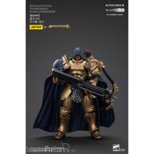 Warhammer Age of Sigmar Actionfigur Stormcast Eternals The Blacktalons Shakana Goldenblade 20 cm