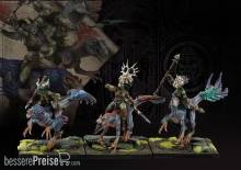 Para Bellum PBW9003 - Wadrhun: Raptor Riders