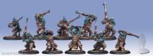 Hordes PIP71042 - Trollblood Fennblade Plastic Unit Box (10) (plastic)