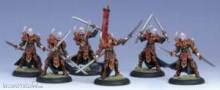 Hordes PIP74009 - Skorne Praetorians Unit Box
