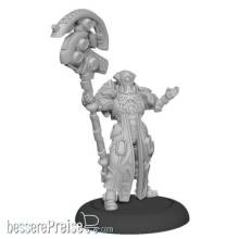 Privateer Press PIP83002 - Paladin Weaver - Warcaster Iron Star Alliance Solo (metal)