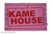 SD Toys SDTDRB22593 - Dragon Ball Fußmatte Kame House 40 x 60 cm