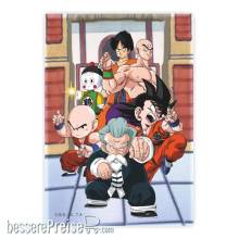 SD Toys SDTDRB25216 - Dragon Ball Magnet Tournament