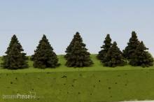 Model Scene SM015 - Fichte 15 mm (10x)