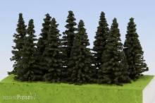 Model Scene SM050 - Fichte 40-60 mm (9x)