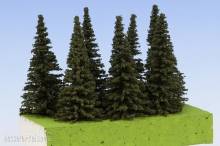Model Scene SM070 - Fichte 65-80 mm (7x)