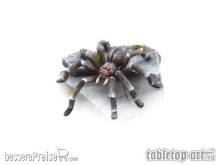 TableTop Art TTA200252 - Riesenspinne