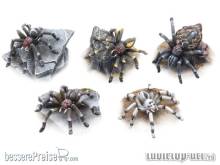 TableTop Art TTA200253 - Riesenspinnen Set (5)