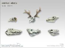 TableTop Art TTA600020 - Tiertotenschädel Set