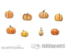 TableTop Art TTA601102 - Kürbisse Set 1 (8)