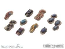 Tabletop-Art TTA601120 - Giant Insects - Set 1 (10)