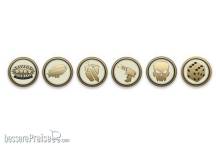 Savage Worlds (deutsch) US85009 - Savage Worlds Bennys-Set (25)