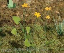 Model Scene VG4-003 - Butterblumen