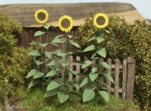 Model Scene VG4-024 - Sonnenblumen