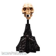 Herr der Ringe Mini Statue Skull of a Moria Orc 13 cm