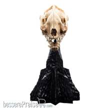 Herr der Ringe Mini Statue Skull of a Warg 20 cm