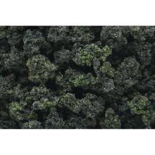 Woodland Scenics WFC1649 - Forest Blend Bushes