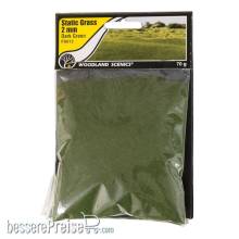 Woodland Scenics WFS613 - 2mm Static Grass Dark Green - Inhalt 70g