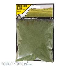 Woodland Scenics WFS614 - 2mm Static Grass Medium Green - Inhalt: 70g