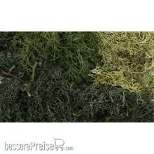 Woodland Scenics WG6501 - Summer Mix EZ Bushes