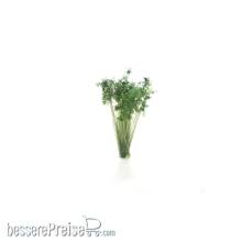 Woodland Scenics WG6632 - Dark Green Shrubs Tufts