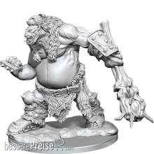 Wizkids WIZ75057 - Dungeons & Dragons Frameworks Miniatur-Bausatz Ogre