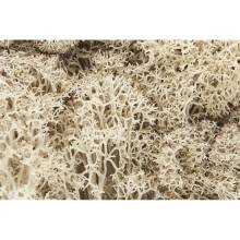 Woodland Scenics WL166 - Islandmoos, Natur