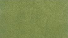 Woodland Scenics WRG5141 - 14.125x12.5 Spring RG Proj Sht