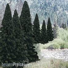 Woodland Scenics WTR1585 - 2-4 Rm Real Evergreen Bl 18/Pk