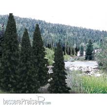 Woodland Scenics WTR1586 - 4-6 Rm Real Evergreen Bl 13/Pk