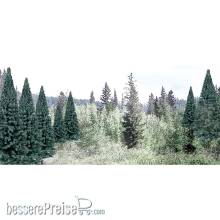 Woodland Scenics WTR1587 - 2-4 Rm Real Blue Spruce 18/Pk