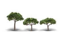 Woodland Scenics WTR3555 - 2.3-3.3 Stone Pine 3/Pkg