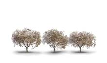 Woodland Scenics WTR3594 - Cherry Blossom Trees