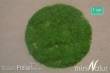 Silhouette 002-22 - Gras-Flock 2 mm Sommer 50 g