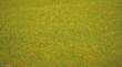 Noch 00270 - Grasmatte Blumenwiese