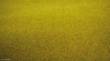 Noch 00280 - Grasmatte Sommerwiese