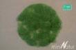 Silhouette 004-02 - Gras-Flock 4,5 mm Sommer 100 g