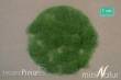 Silhouette 004-12 - Gras-Flock 4,5 mm Sommer 250g