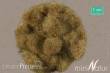 Silhouette 004-19 - Gras-Flock 4,5 mm Heu 250g