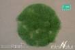 Silhouette 004-22 - Gras-Flock 4,5 mm Sommer 50 g