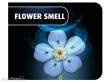 Revell 00630 - Blossom Festival Revell Holzblumen