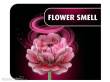 Revell 00632 - Flower Garden Revell Holzblumen