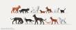 Merten 0212582 - Hunde und Katzen