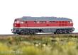 Märklin 036436 - Diesellokomotive Baureihe 132